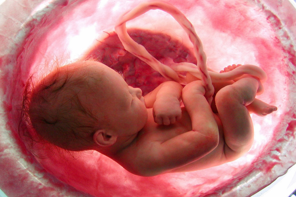 GYNAECOLOGY