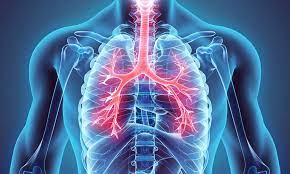 RESPIRATORY MEDICINE