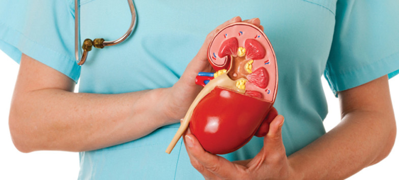 NEPHROLOGY