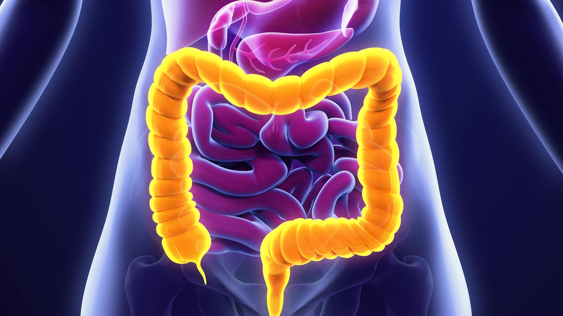 GASTROENTEROLOGY