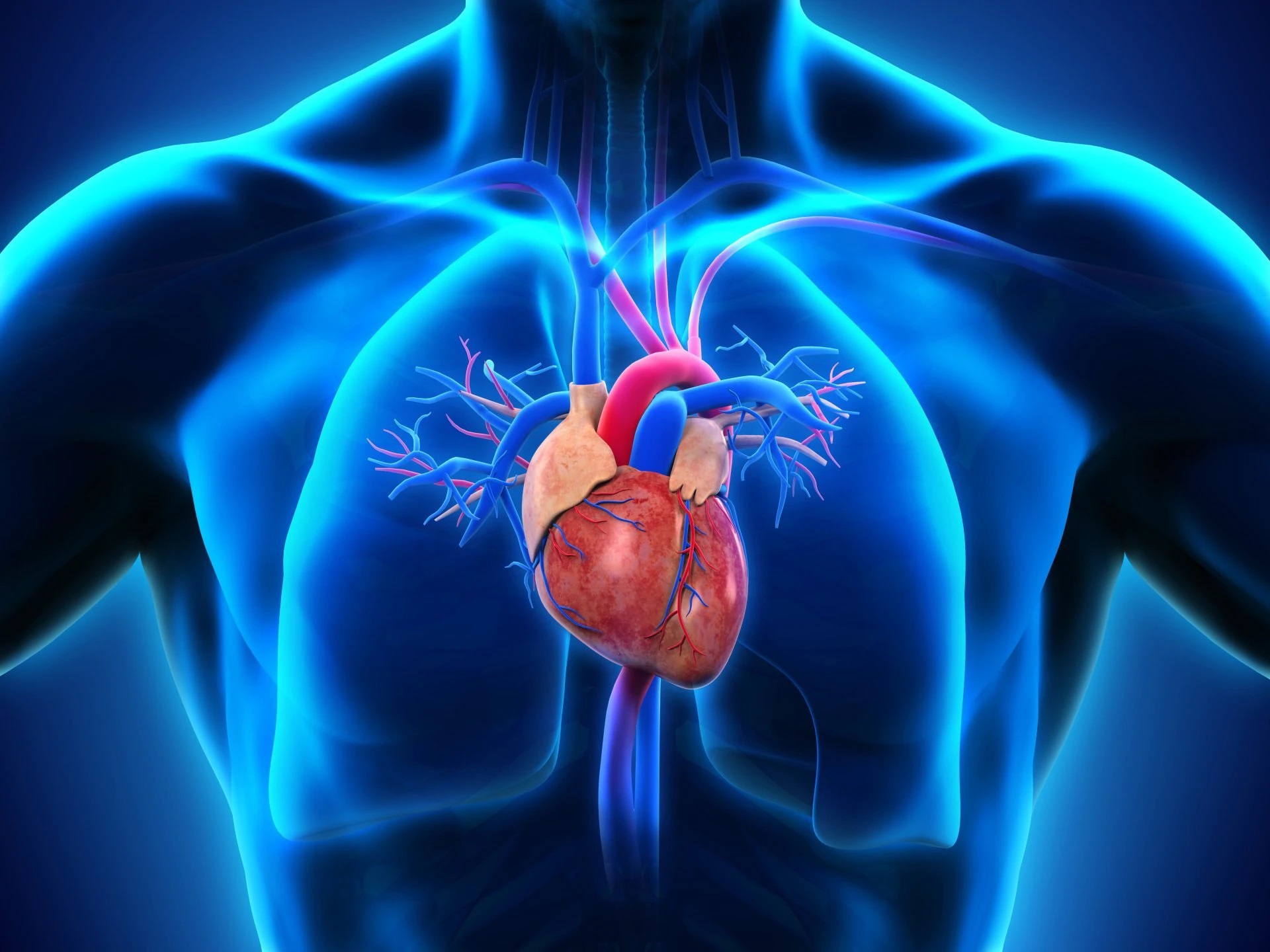 RESPIRATORY MEDICINE